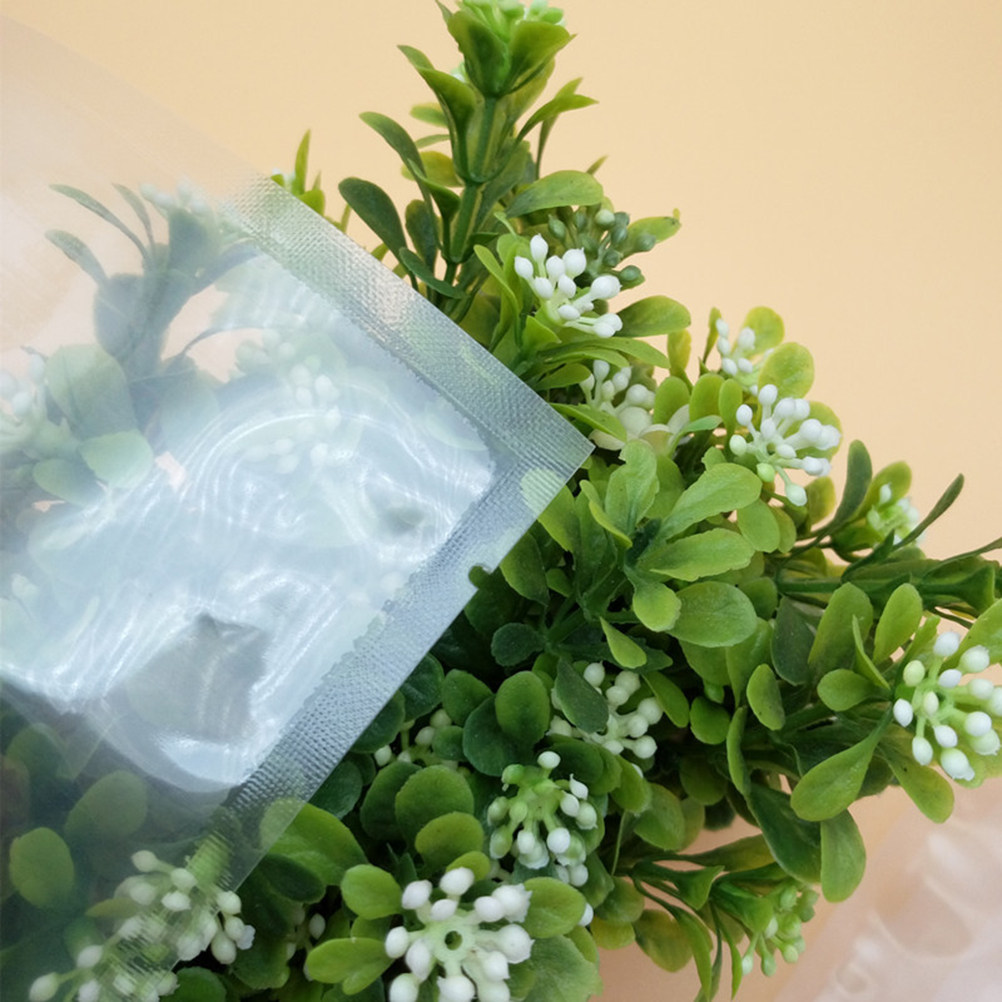 100 個真空シーラーバッグ透明高耐久 10x15cm 互換 - Food Storage Vacuum Sealer Machine のレビューと価格