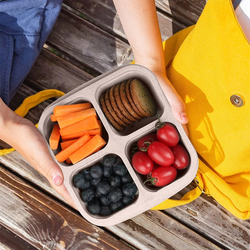 ポータブルコンパートメント食品収納ボックス、冷蔵庫、冷凍庫オ - Food Storage Vegetables のレビューと価格