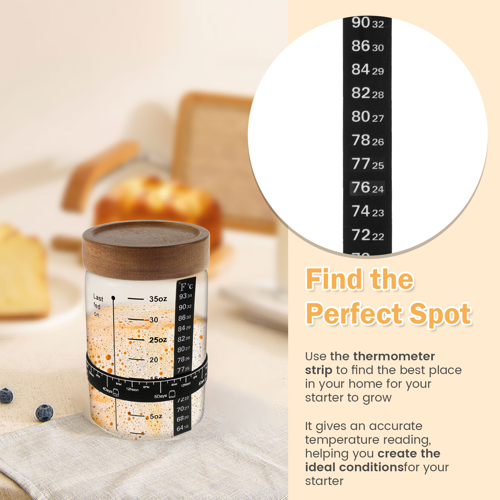 はんだごてチャージャーキットセット、広い口透明ガラス生地発酵 - Food Storage Kits のレビューと価格