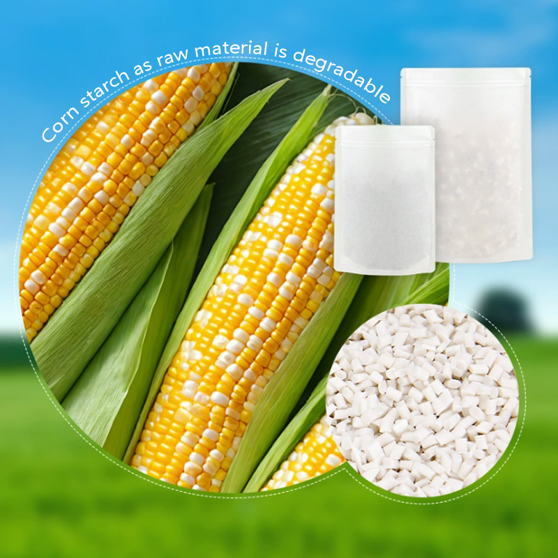 カスタマイズ可能な生分解性クラフト紙ジッパーバッグ、茶葉保存 - Food Storage Plant のレビューと価格